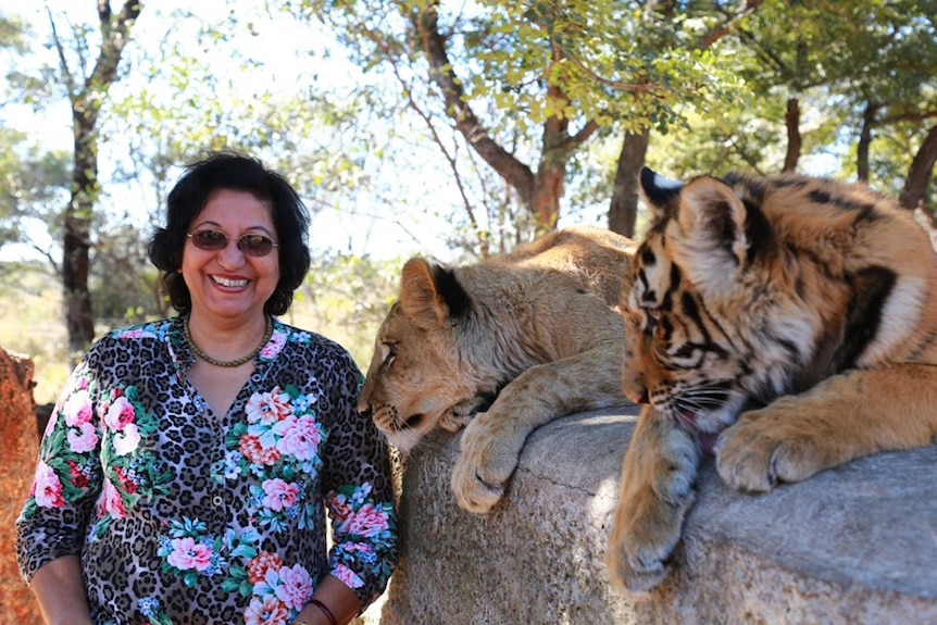 Zarin Havewala standing next to leopards in South Africa.