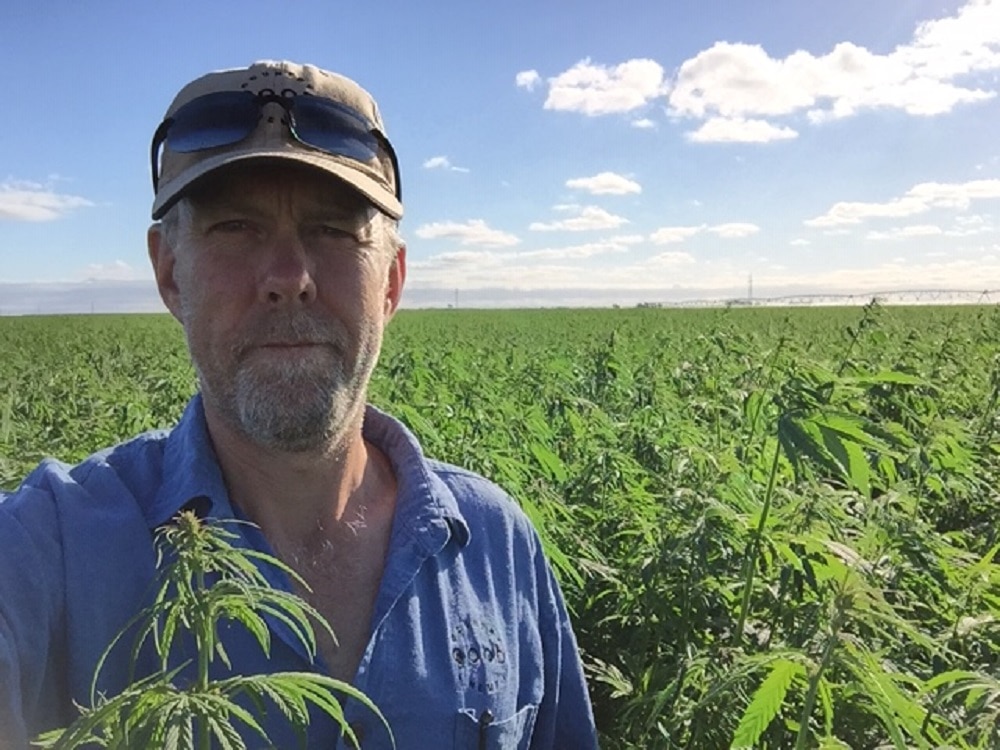 A man stands in a field with crops around him