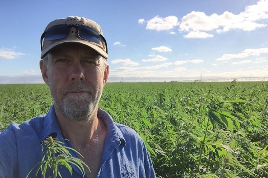 A man stands in a field with crops around him.