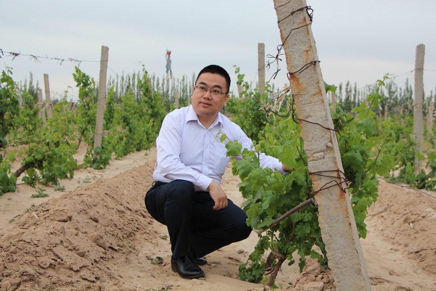 Min Hua manages Helen Mountain, a winery in northern China, for Pernod Ricard.