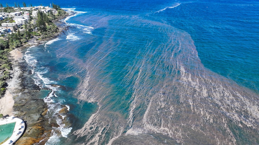 an aerial view of a large sweep of brown liquid in the blue ocean by a beach. 