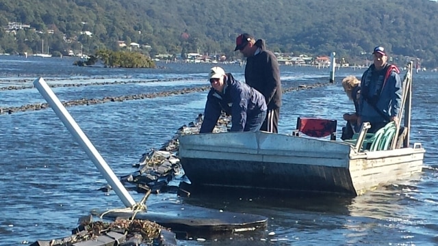 Brigadier Naumann inspects damaged oyster leases with local grower, Dean Whitten.