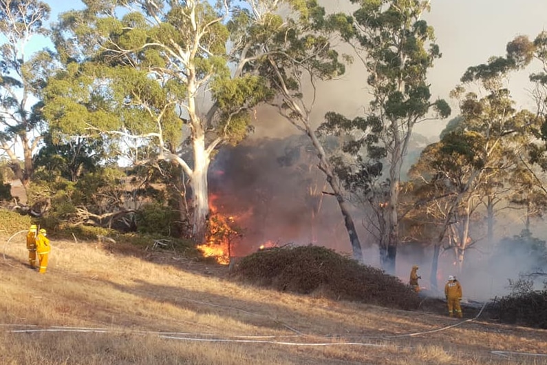 Firefighters tackle the scrub fire near Hepburn.