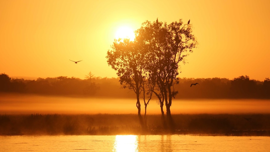 A bright orange sunset at Arafura Swamp