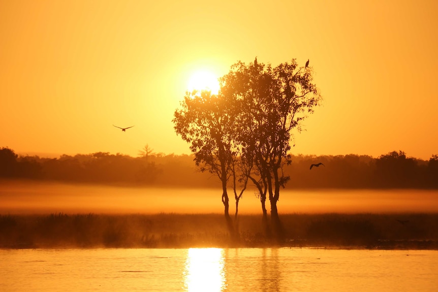 A bright orange sunset at Arafura Swamp