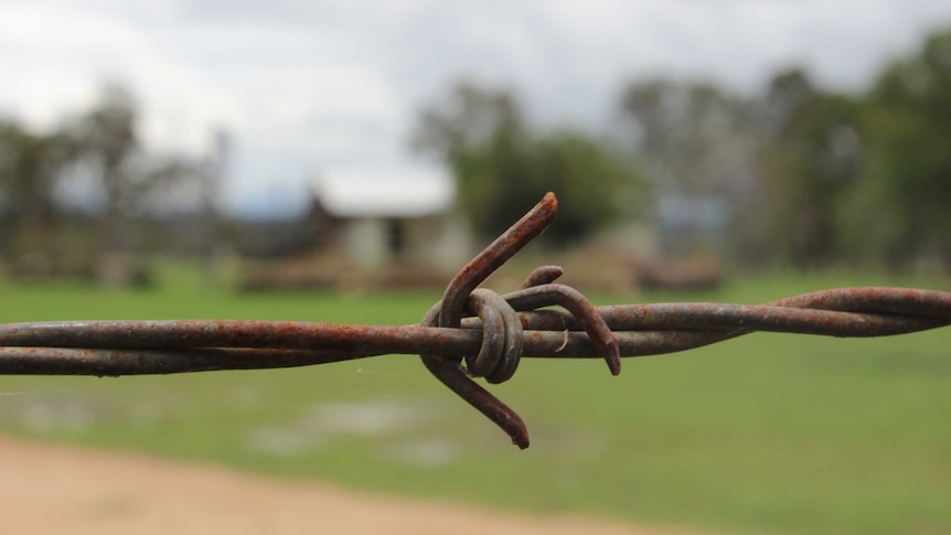 A close-up of a rusted strand of barbed wire, with a green paddock in the background.