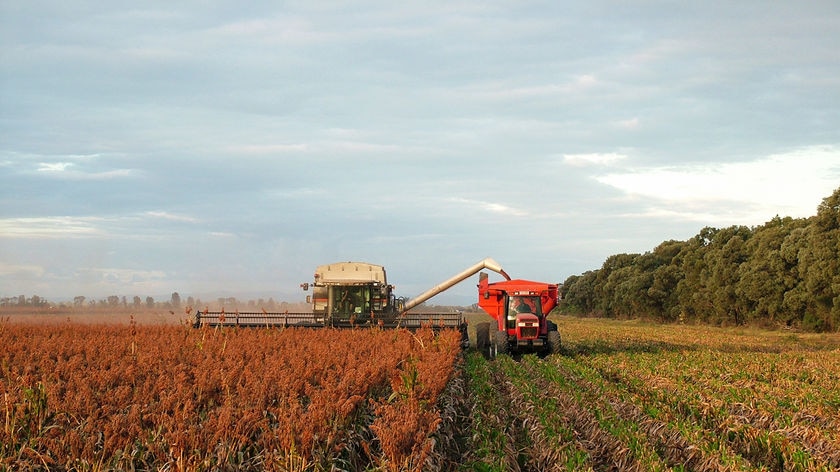 Nice shot of farm machinery harvesting grain in a paddock.