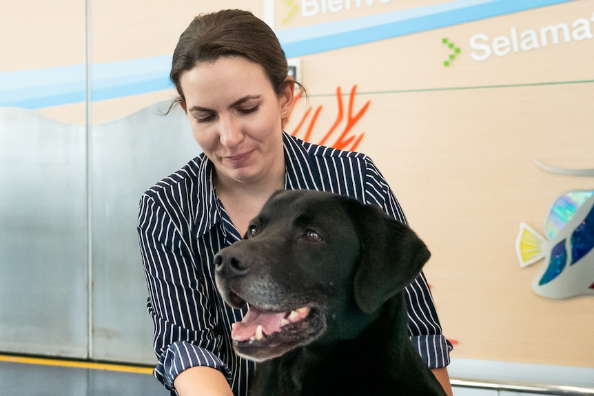 A female detector dog handler crouches beside a black dog in an airport terminal.