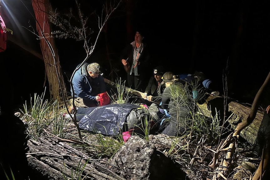 People in a bush camp at night.