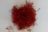 Saffron threads from TasSaff's Glaziers Bay farm in Southern Tasmania
