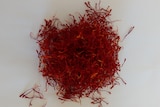 Saffron threads from TasSaff's Glaziers Bay farm in Southern Tasmania
