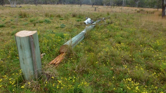 Hundreds of properties were blacked out after a daring attempt to steal copper from a live power pole at Doyalson.