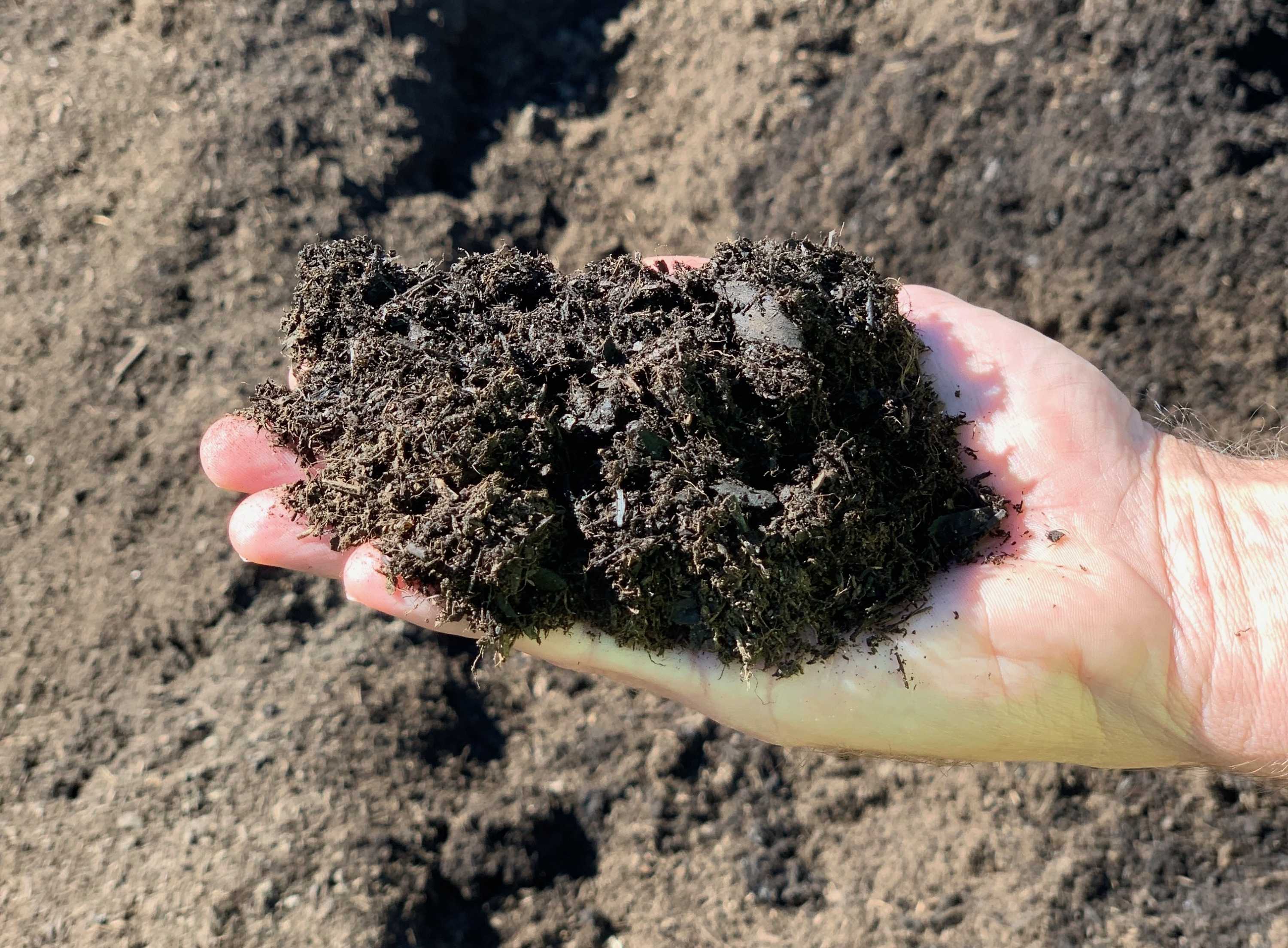 How your kitchen waste becomes compost in 10 days - ABC listen