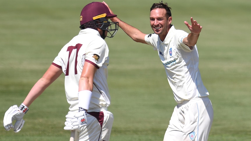 Cricketer raising his hands in the air in celebration after bowling out the opposition batsman 