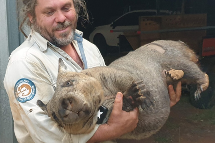 A man holding a wombat 