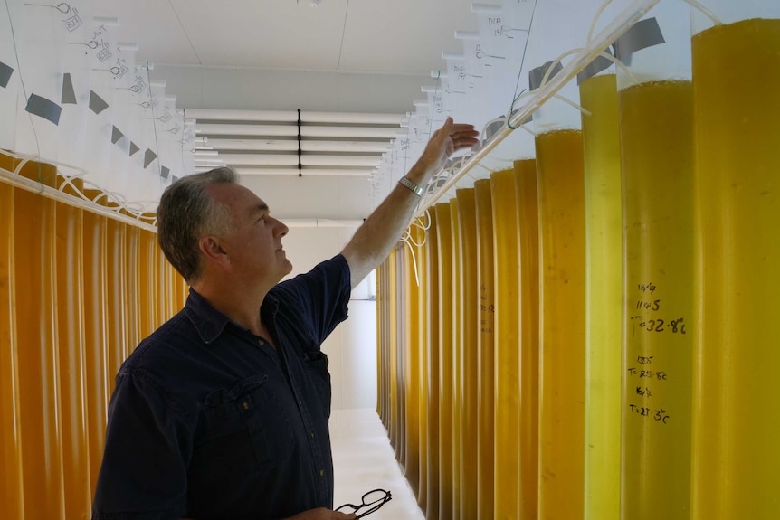 Albany hatchery manager Jonathan Bilton inspects equipment in the state-of-the-art hatchery