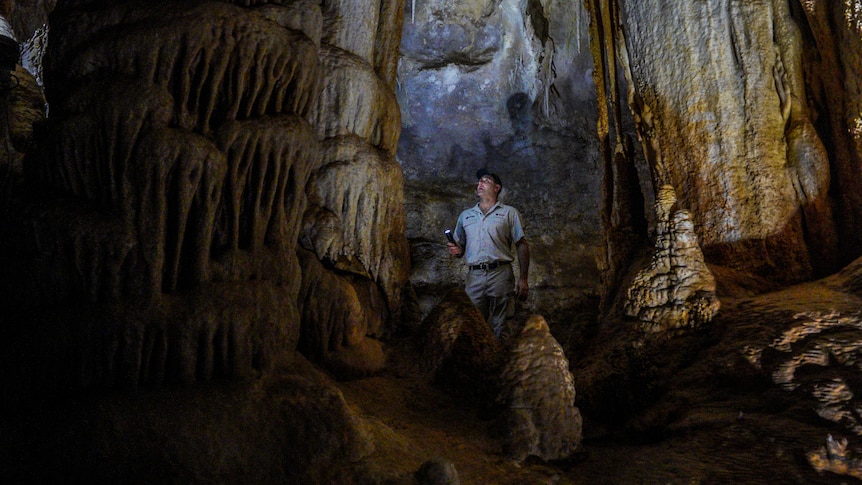 A man in a khaki uniform and hat stands in a dark cave shining his torch light on hanging rock formations.