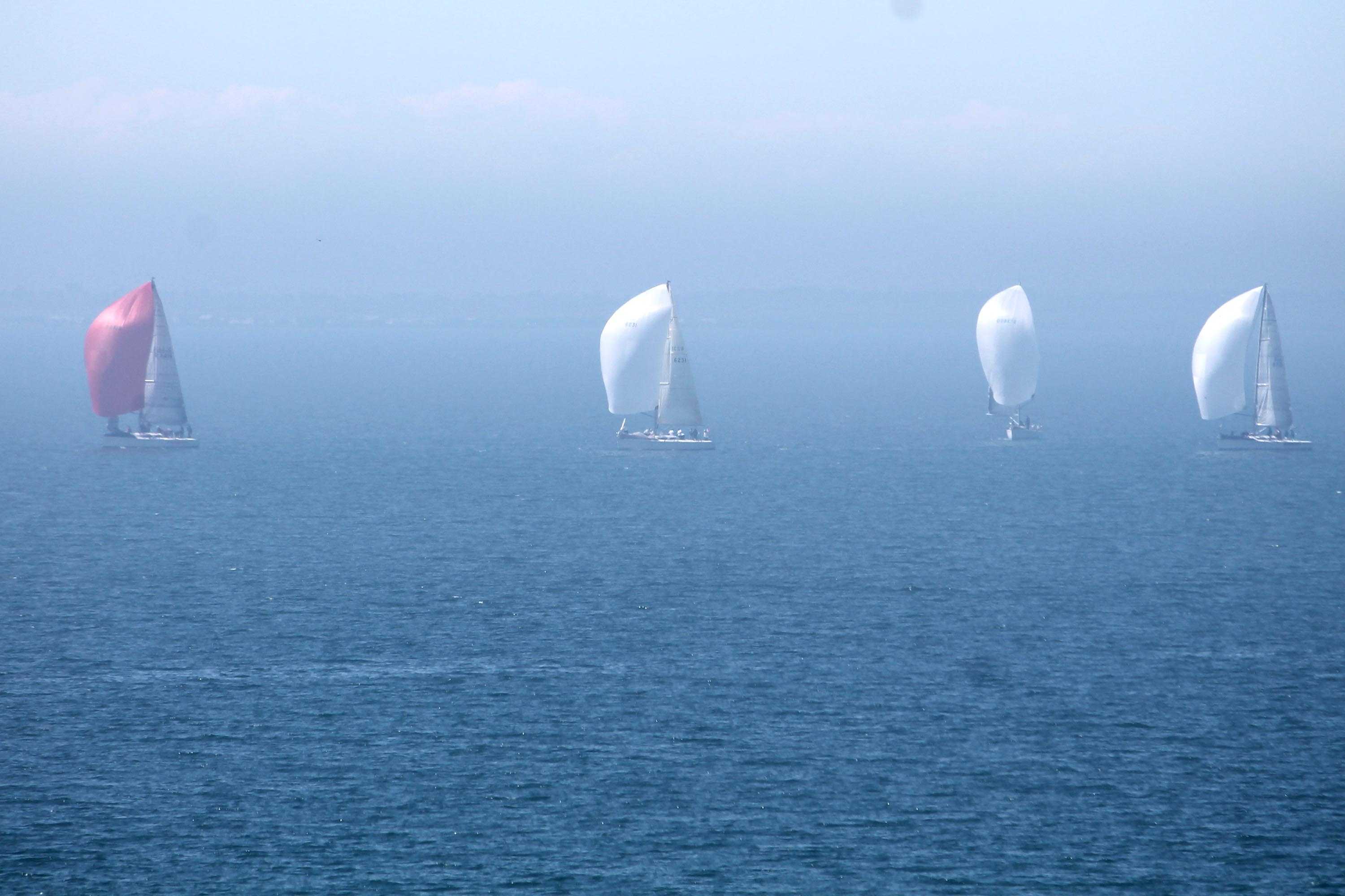 Yachts sail under full spinnaker across Corio Bay on Port Phillip Bay, Victoria.