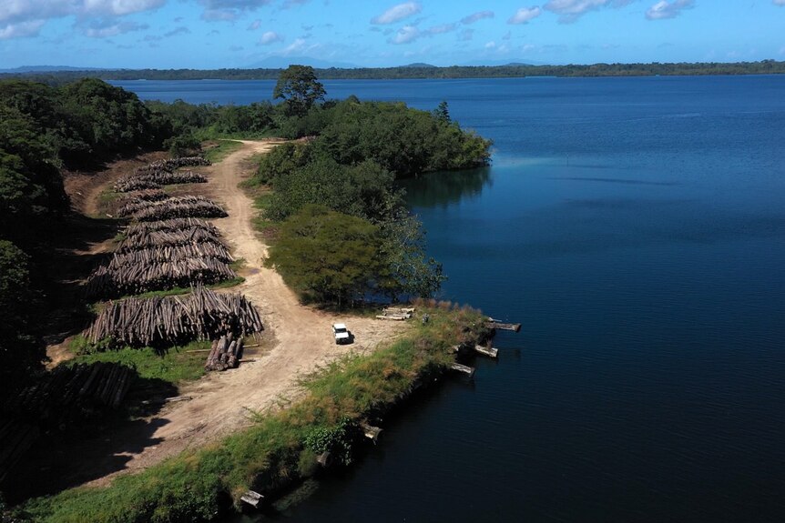 An aerial photo of a piles of cut down trees, by a dirt road and a large expanse of water.