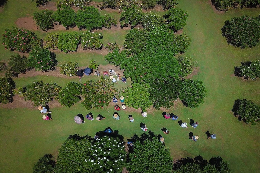 A shot from above of visitors to the farm.