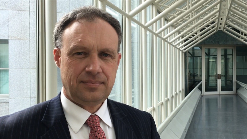 Glynn Williams stands in a glass covered walkway in Parliament House, Canberra.