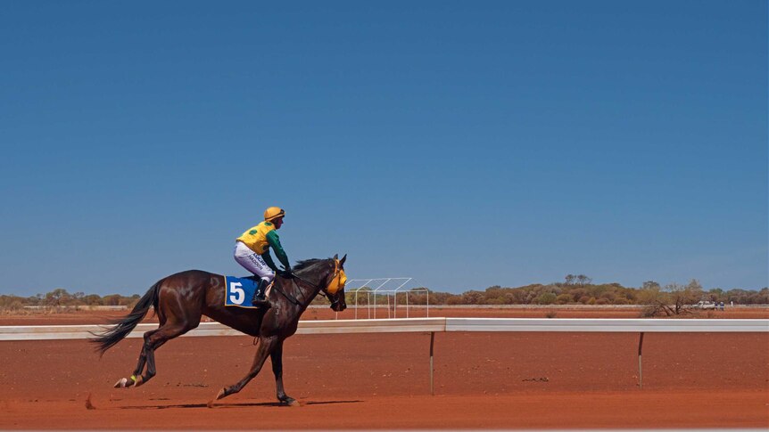A jockey riding a horse running past the post at the Meekatharra Cup.
