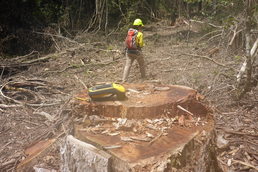 EPA officer inspecting Wild Cattle Creek Forest