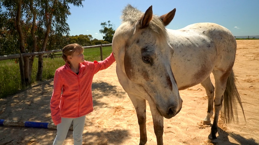 A child reaches out to pat a horse on a sunny day.