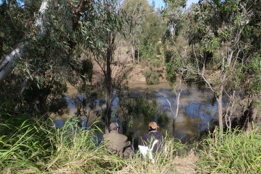 Two people sit beside a river with trees around them and sunshine on their backs