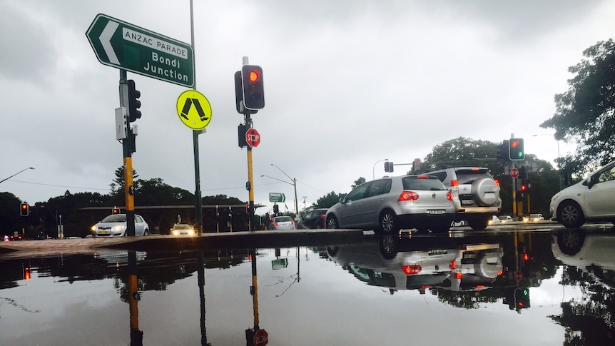 Water covers the intersection of Anzac Pde and Cleveland St at Moore Park