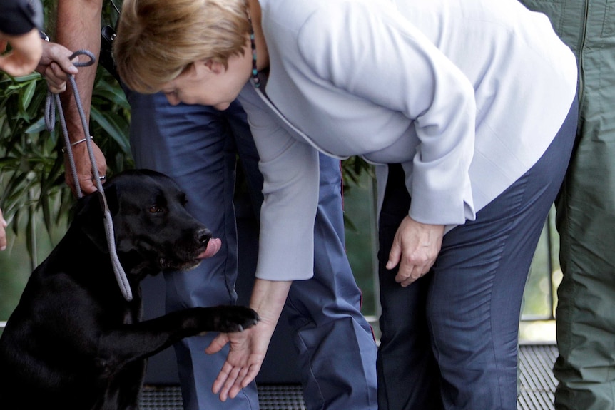 Angela Merkel meets the rescue dog Leo
