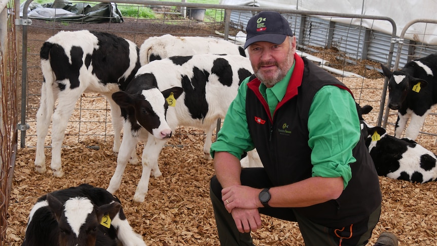 Mark Billing kneeling with calves