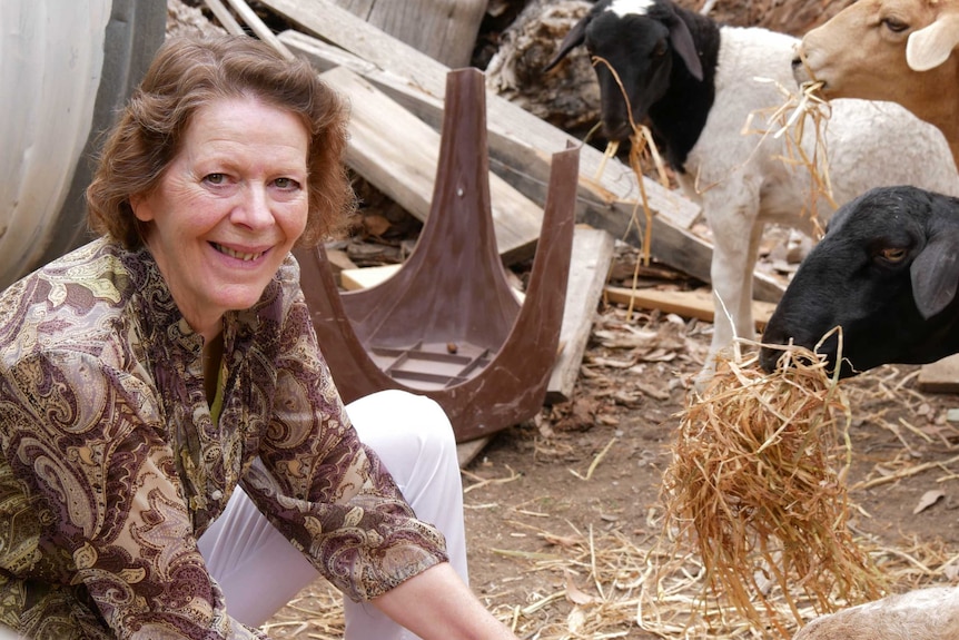 A woman smiles at the camera as sheep eat hay around her.