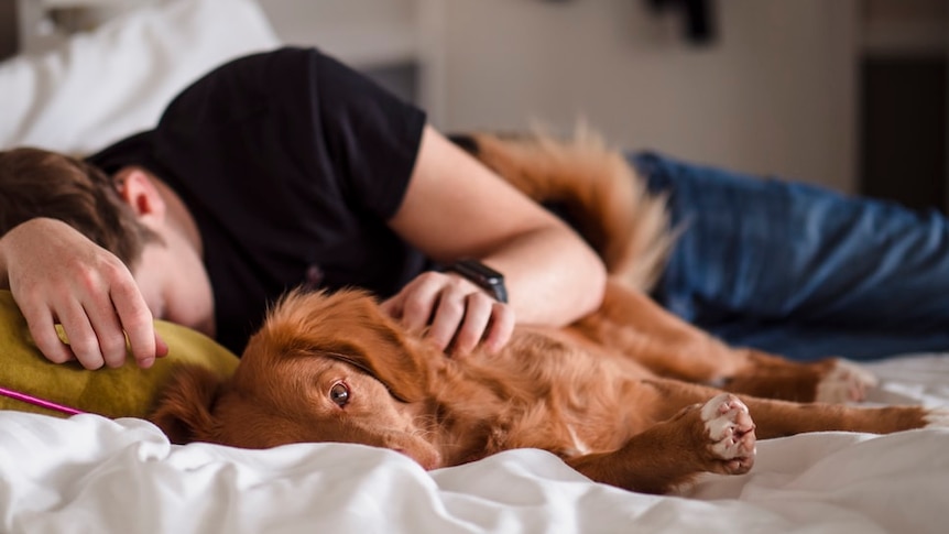 Person lies on bed with dog