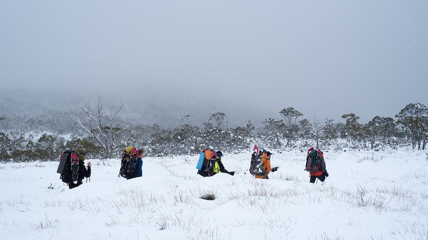 Five people hiking through snow on Mount King William in Tasmania's Central Highlands.