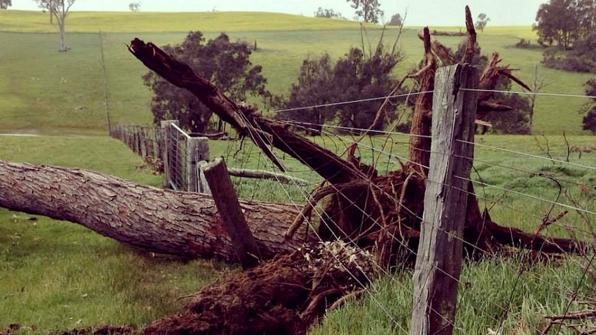 Hunter Valley super storm fence damage