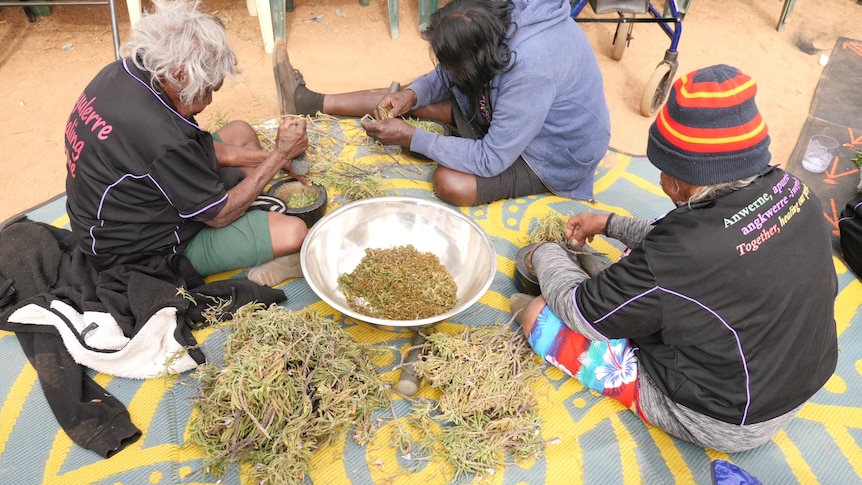 Women sit and work with the bush medicine at the Akeyulerre Healing Centre.