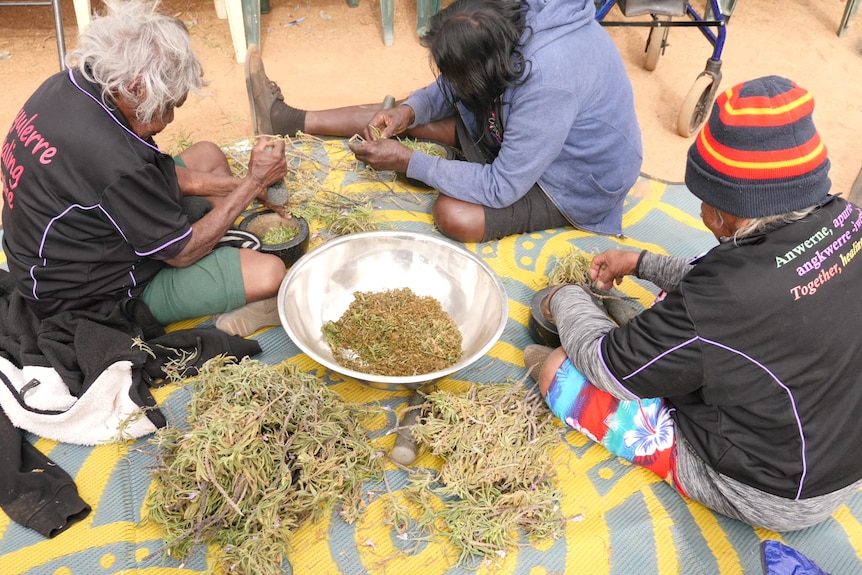 Women sit and work with the bush medicine at the Akeyulerre Healing Centre.