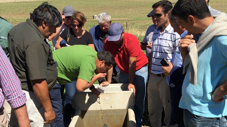 Argentinian farmers lap up Australian farm water