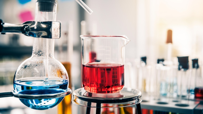 Chemistry beakers full of liquid in a laboratory