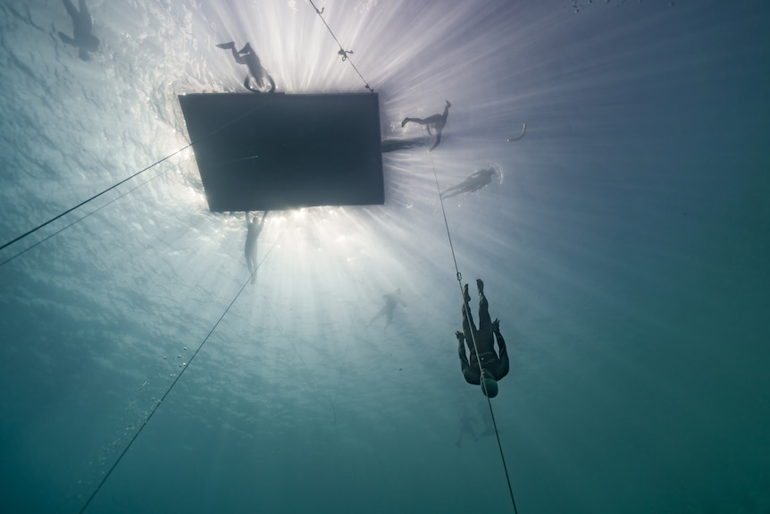 William Trubrudge descending Dean's Blue Hole for his record breaking dive.