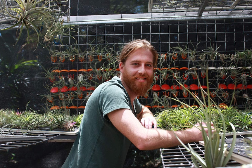 Ryan Maunder in his gardening.