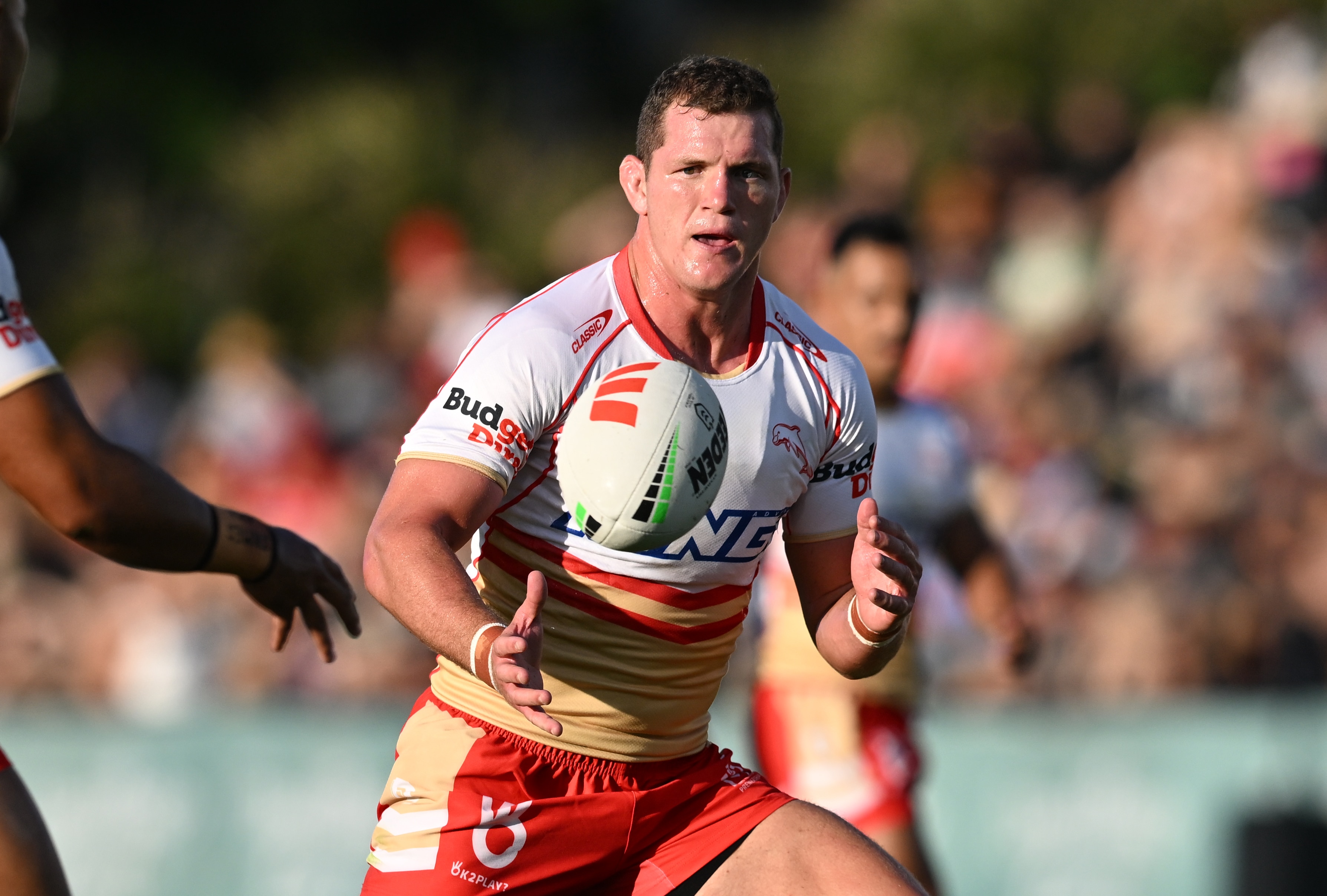 Fears for luckless Tom Gilbert as Dolphins prop suffers knee injury in  trial game defeat to Warriors - ABC News