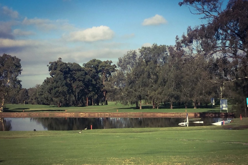 A wide photo of a golf course lake with a small plane partially immersed in the water.