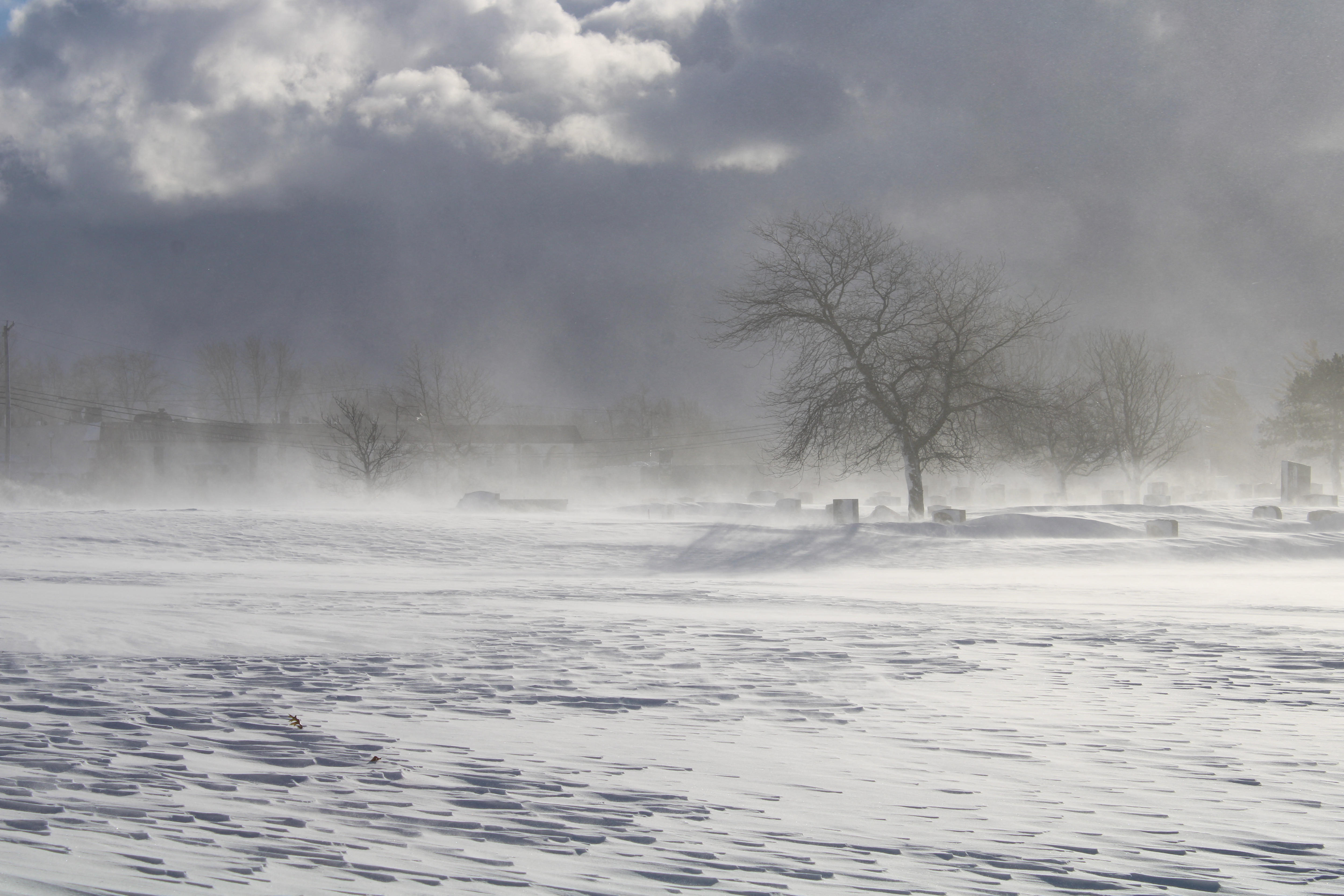 When It Comes To Cold, Snow And Wind, Why Are Blizzards So Deadly ...