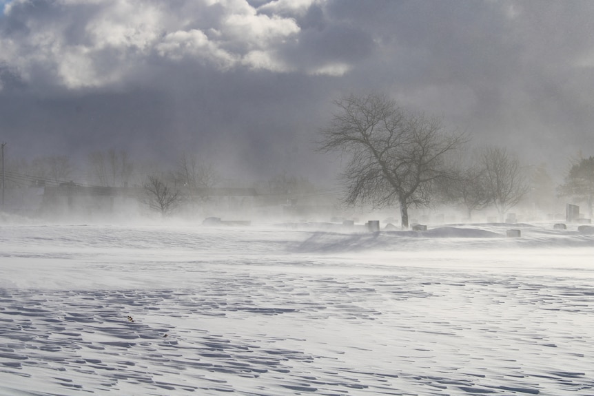 snow winds can be seen blowing across snow covered ground with trees in the background