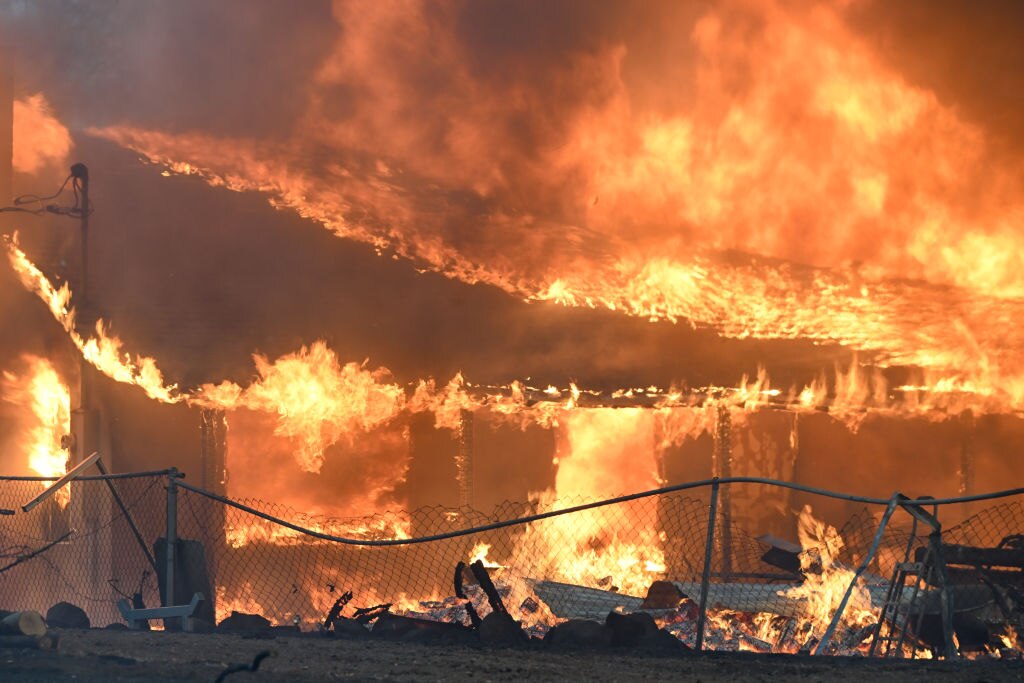 Flying rivers under threat as forest fires increase