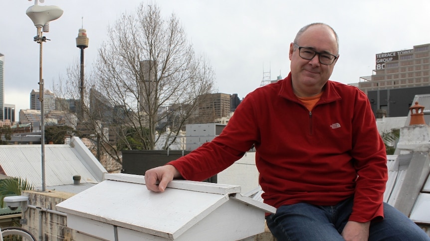 Man sitting on the roof of a house with a bee hive overlooking Sydney's skyline