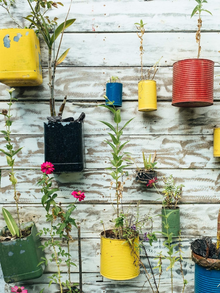 Pots made out of plastic bottles and tin cans for a story about upcycling