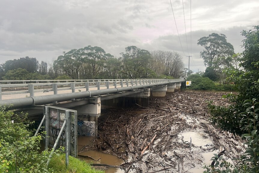 Debris floats down a flooding river.